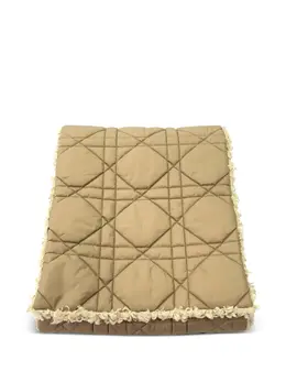 Christian Dior Pre-Owned: Бежевый шарф 