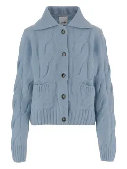 Allude: Трикотажный кардиган 