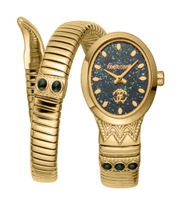 Женские кварцевые часы Roberto Cavalli, золотой rc5l104m0035