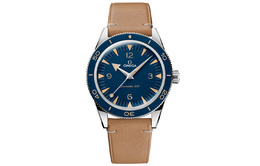 Omega Часы Men's Seahorse Series 300m Diving Watch Watch 234.32.41.21.03.001