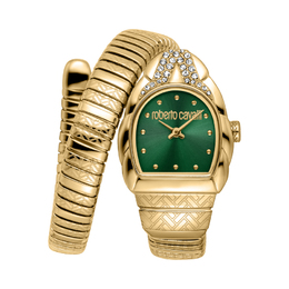 Roberto Cavalli Aurora Green Dial Ladies Watch rc5l133m0045