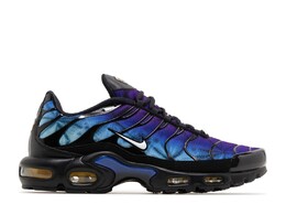 Кроссовки Nike Air Max Plus '25Th Anniversary', мультиколор fv0393 001 | multi-color