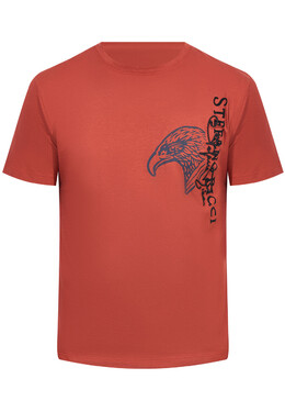 Stefano Ricci: Хлопковая футболка 