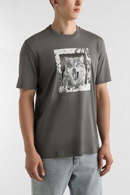 BOSS: Хлопковая футболка 