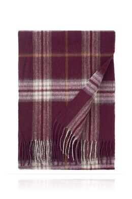 MICHEL KATANA: Шарф в полоску 