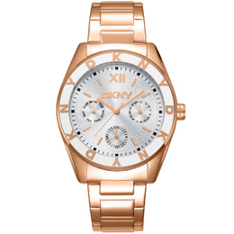 DKNY Fashion Silver-tone Dial Ladies Watch dk1l073m0045