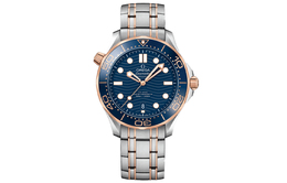 Omega Часы для дайвинга серии Seahorse 300m с автоматическим механическим механизмом, мужские, синий циферблат 210.20.42.20.03.002