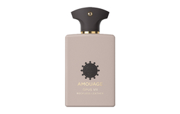 Amouage Библиотечная коллекция парфюмов Rash Leather с древесными нотами Eau De Parfum White Pine Resin Ebony 100ml 莽撞皮革香水