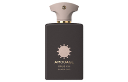 Amouage Библиотечная коллекция silver ebony духи деревянный ориентальный аккорд eau de parfum ванильный амбер 100ml 图书馆收藏十三新款