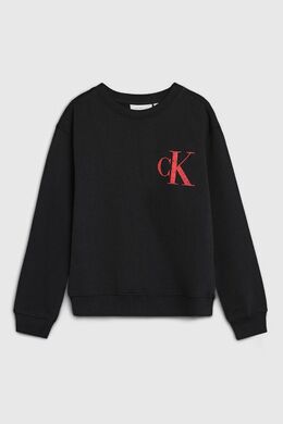 Calvin Klein Jeans: Хлопковый свитшот 