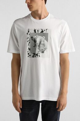 BOSS: Хлопковая футболка 