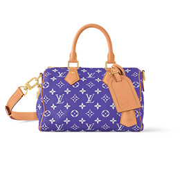 Сумка Speedy P9 Bandoulière 25 Louis Vuitton m11562