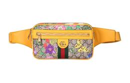 Офидия поясная сумка Gucci 574796-hwhcc-9783