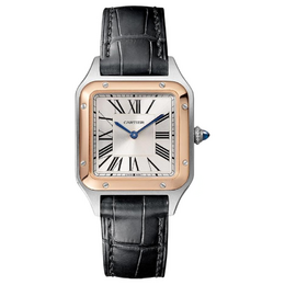 Женские часы SANTOS DE Cartier w2sa0038