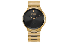 Мужские часы Citizen ar3112-57e