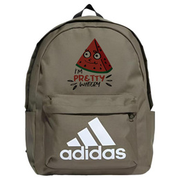 Тканевый рюкзак унисекс Adidas, 卡通西瓜 hr9810(team378-笑脸菊p4) | 卡通西瓜