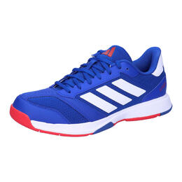 Мужские кроссовки для дома Adidas Ligra 8 d9da5307-af3a-4300-a6c5-1e5f770a1913 | kг¶nigsblau / baumwollweiгџ