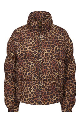 MC2 Saint Barth: Пуховик с леопардовым принтом 